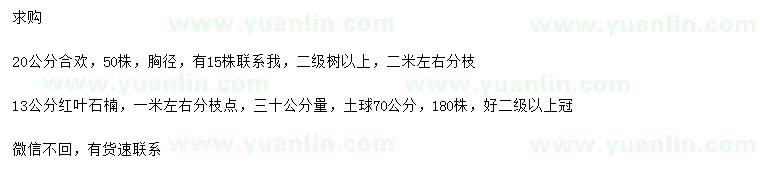 求购20公分合欢、13公分红叶石楠