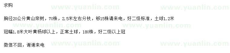 求购胸径20公分黄山栾树、冠幅1.8米大叶黄杨球