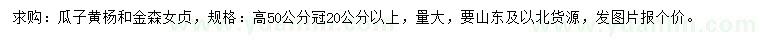 求购高50公分瓜子黄杨、金森女贞