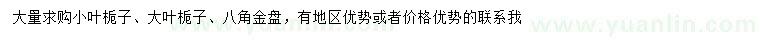 求购小叶栀子、大叶栀子、八角金盘