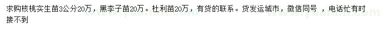 求购核桃苗、黑李子苗、杜利苗