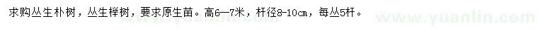 求购高6-7米丛生朴树、丛生榉树