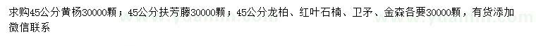 求购黄杨、扶芳藤、龙柏等