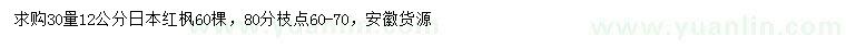 求购30量12公分日本红枫