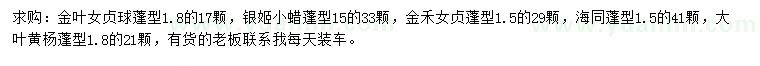 求购金叶女贞球、银姬小蜡、金禾女贞等