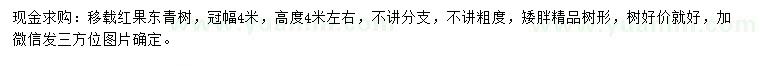 求购冠幅4米红果冬青