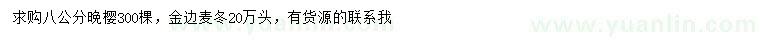 求购8公分晚樱、金边麦冬