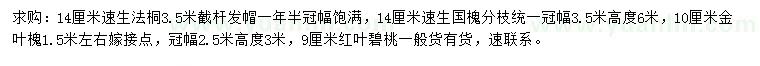 求购速生法桐、速生国槐、金叶槐等