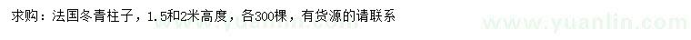 求购高1.5、2米法国冬青柱