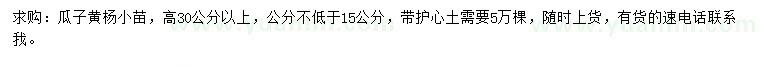 求购高30公分以上瓜子黄杨