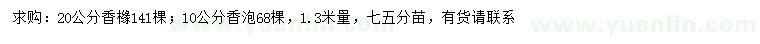 求购1.3米量20公分香橼、10公分香泡