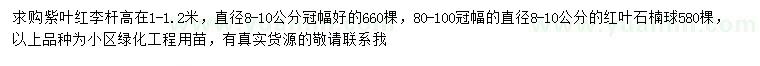 求购8-10公分紫叶李、红叶石楠球