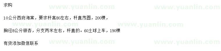 求购10公分西府海棠、胸径8公分银杏