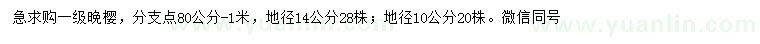 求购地径10、14公分晚樱