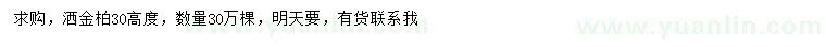 求购高30公分洒金柏