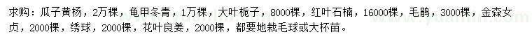 求购瓜子黄杨、龟甲冬青、大叶栀子等