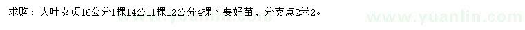 求购12、14、16公分大叶女贞