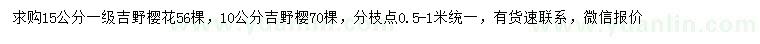 求购10、15公分吉野樱