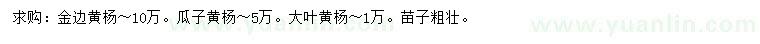 求购金边黄杨、瓜子黄杨、大叶黄杨