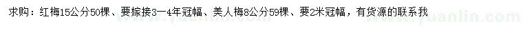 求购15公分红梅、8公分美人梅