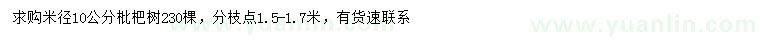 求购米径10公分枇杷树