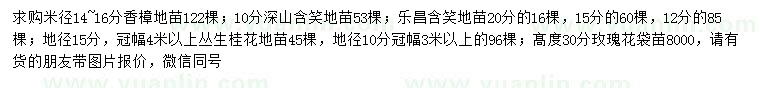 求购香樟、深山含笑、乐昌含笑等