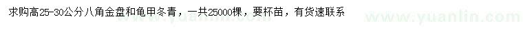 求购高25-30公分八角金盘、龟甲冬青