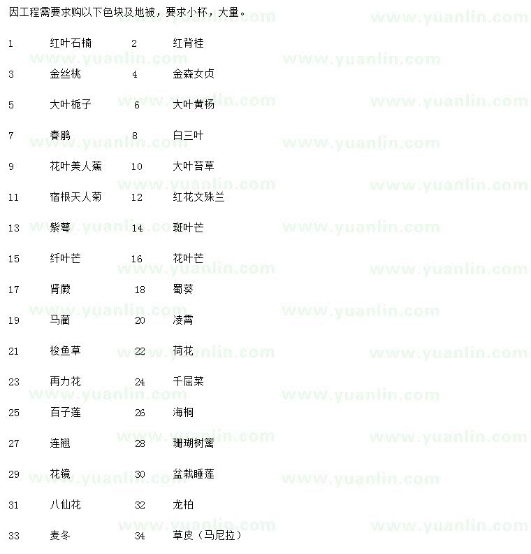 求购红叶石楠、红背桂、金丝桃等