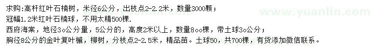 求购红叶石楠、西府海棠、金叶复叶槭等