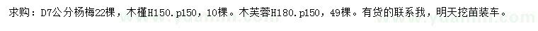 求购地径7公分杨梅、高150公分木槿、高180公分木芙蓉