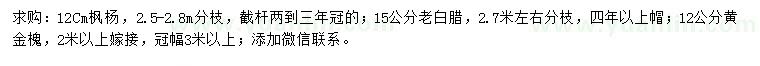 求购枫杨、老白蜡、黄金槐