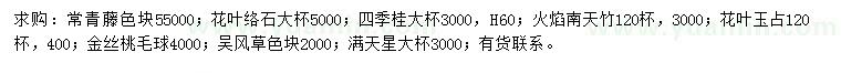 求购常青藤、花叶络石、四季桂等