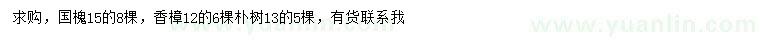 求购国槐、香樟、朴树