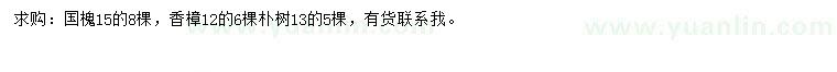 求购15公分国槐、12公分香樟