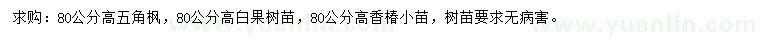 求购五角枫、白果树、香椿