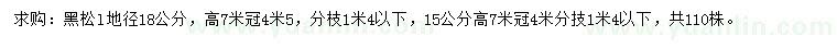 求购地径15、18公分黑松