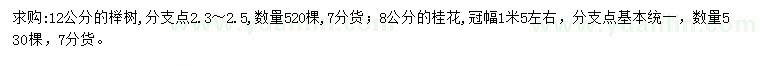 求购12公分榉树、8公分桂花