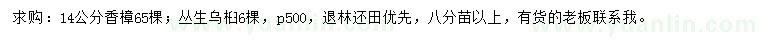 求购14公分香樟、冠5米丛生乌桕