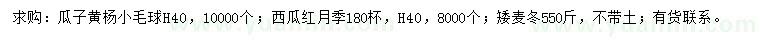 求购瓜子黄杨球、月季、矮麦冬