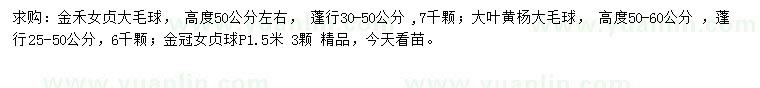 求购金禾女贞球、大叶黄杨球、金冠女贞球