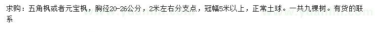 求购胸径20-26公分五角枫、元宝枫