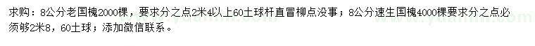 求购8公分老国槐、速生国槐