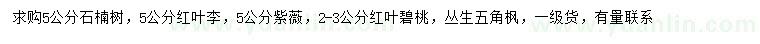 求购石楠树、红叶李、紫薇等