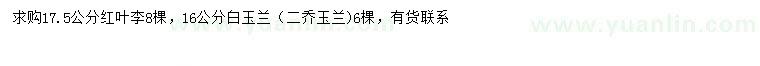 求购17.5公分红叶李、16公分白玉兰