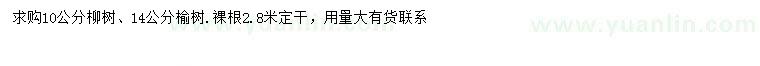 求购10公分柳树、14公分榆树