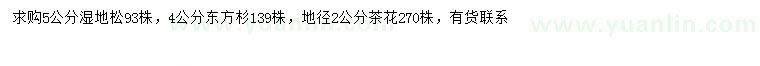 求购湿地松、东方杉、茶花