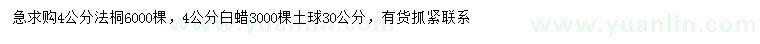 求购4公分法桐、白蜡