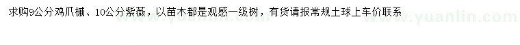 求购9公分鸡爪槭、10公分紫薇