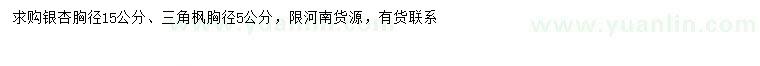 求购胸径5公分三角枫、胸径15公分银杏