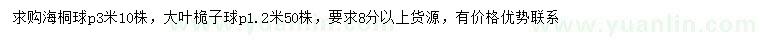 求购冠幅1.2米大叶桅子球、冠幅3米海桐球